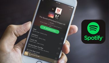 Spotify Music Streaming App Development Cost