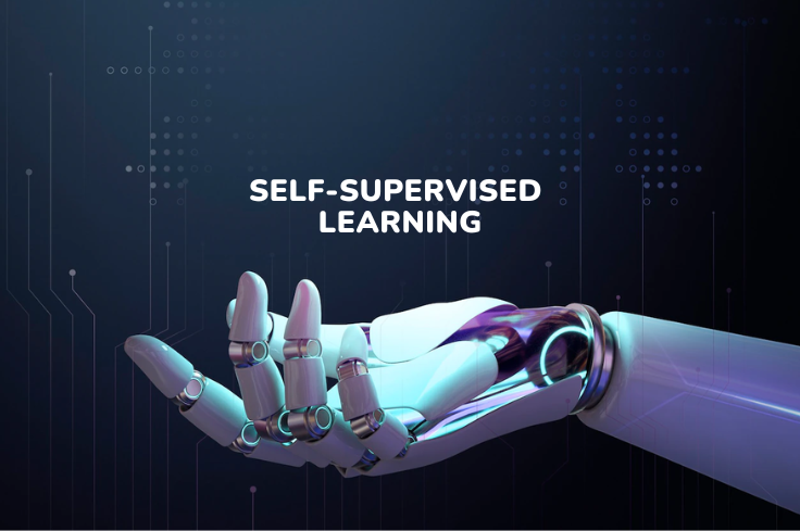 Fusion Informatics - self supervised learning: an overview